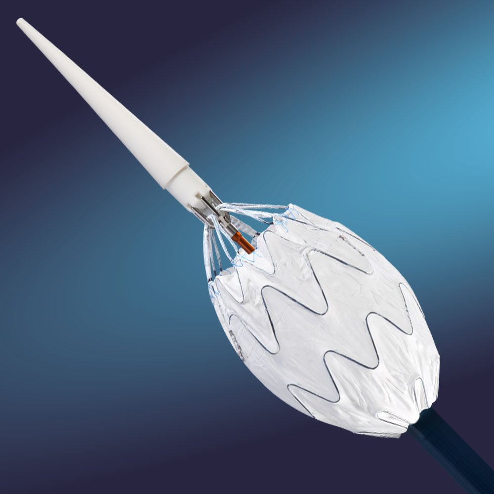 Ankura TAA Stent Graft System Tip Capture Mechanismus