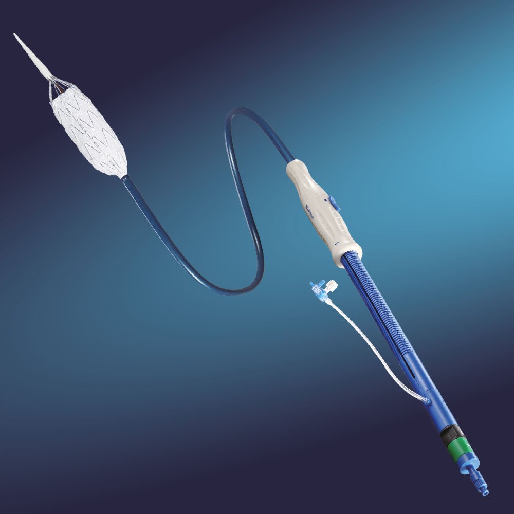 Ankura TAA Stent Graft System