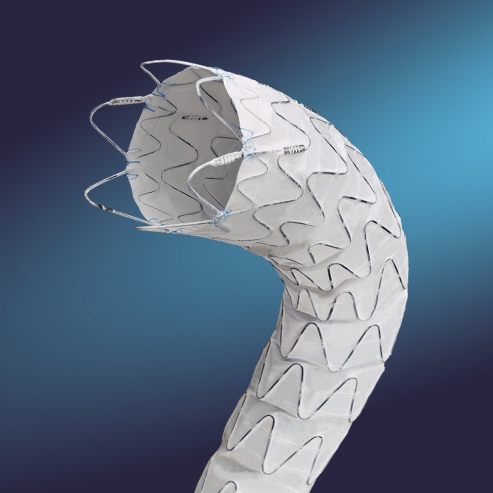 Ankura TAA Stent Graft System